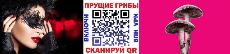 Галлюциногенные грибы Cubensis  купить наркотики сайты  Княгинино 